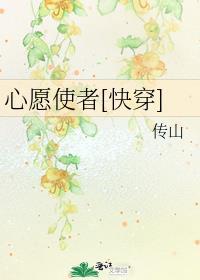 心愿使者是什么意思