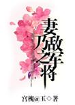妻乃敌军之将腐书