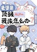 我老婆是alpha