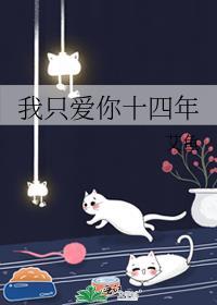 我只爱你十四年全文TXT
