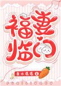 福妻临门大结局