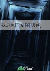 我是真的爱你的