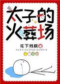 太子火葬场纪事免费阅读