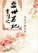 重生之盛世男妃TXT资源