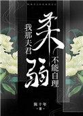 我那夫君柔弱不能自理讲的是什么