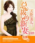天价宠儿总裁的新妻 一共多少章