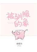 被驯服的象相似的歌