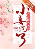 夫人跟王爷的小妾跑了
