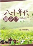 八十年代老式拖鞋