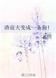 前夫是个渣男