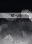 秘术师巅峰等级加点