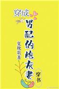 穿成男配的炮灰妻全文阅读