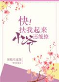 快扶我起来攻略快穿亦宴