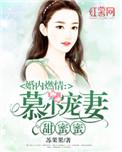 婚内燃情莫小北