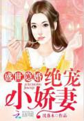 盛世隐婚绝宠小甜妻