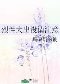 念念不忘记你