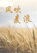 风吹麦浪作词作曲是谁