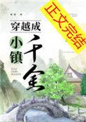 穿越小镇警事的