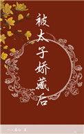 被太子娇藏后免费阅读txt