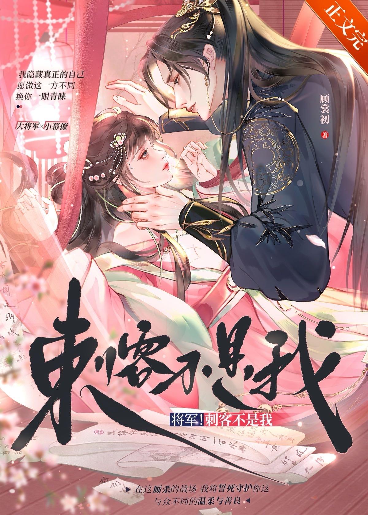 将军与刺客