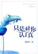 只是对你认了真TXT免费