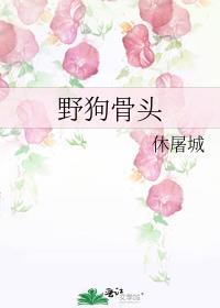 野狗骨头 休屠城