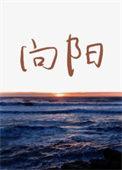 向阳派出所电话