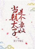 太子是什么意思