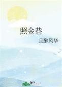照金巷txt