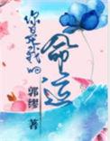 你是我的命运结局是什么