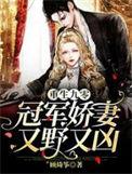 重生九零冠军娇妻又野又凶在线