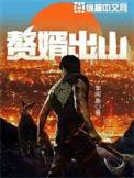 赘婿出山女主角几个