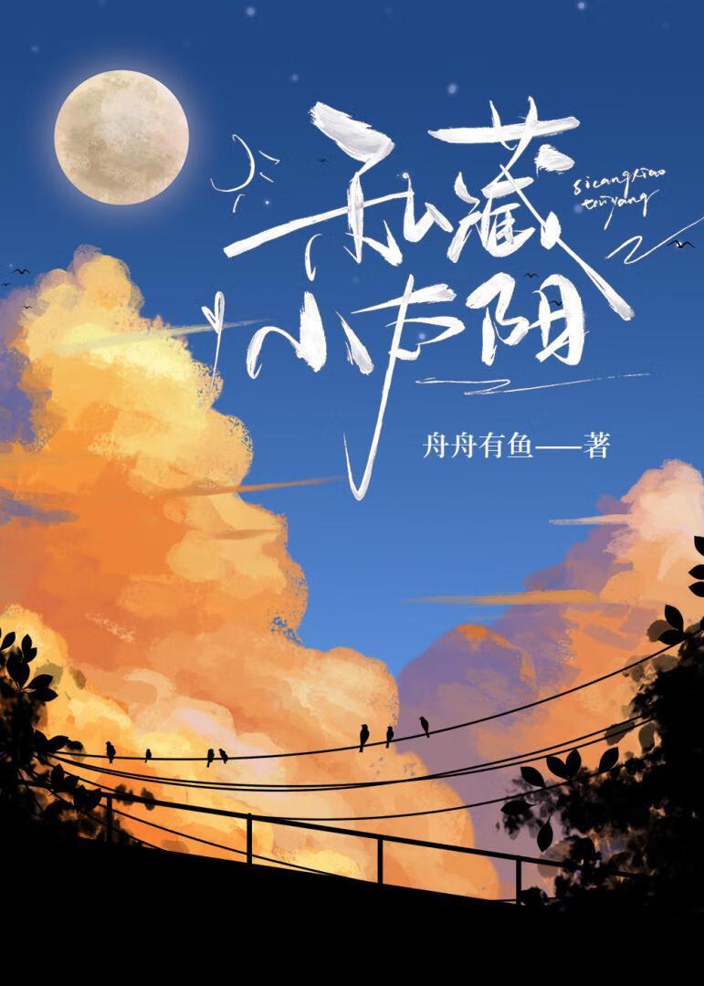 小太阳贼大私人定制