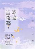 当夜幕降临是什么歌