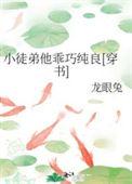 小徒弟是什么意思