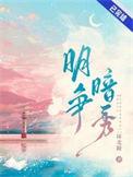 明争暗秀讲了什么