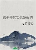 真少爷其实也是假的竹亦心TXT