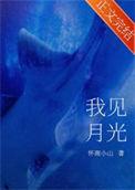 我看见那美丽月光是什么歌