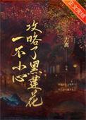 一不小心攻略了黑莲花TXT免费
