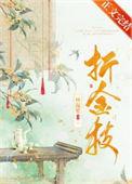 折金枝开机