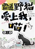 霸道总喵爱上我大结局