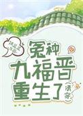 清穿重生九爷侧福晋