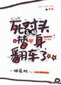 死对头互相替身翻车了by林见树免费阅读