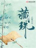 藏珠全文免费阅读无弹窗