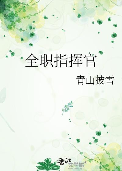 第一指挥官txt