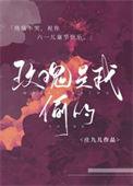 玫瑰是我偷的歌曲