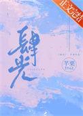 肆光全文免费阅读