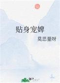 贴身宠婢莫思量番外