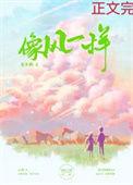 像风一样的离去电视剧全集完整版