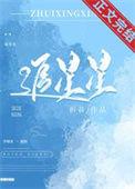追星星的人宋轶